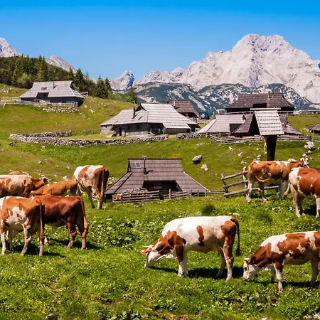 Apartma Zmalinka *
